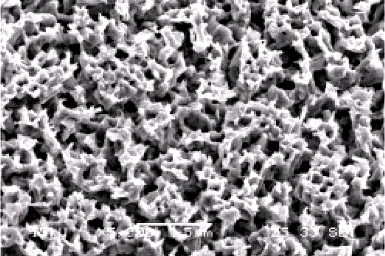 Roughened copper surface SEM micrograph