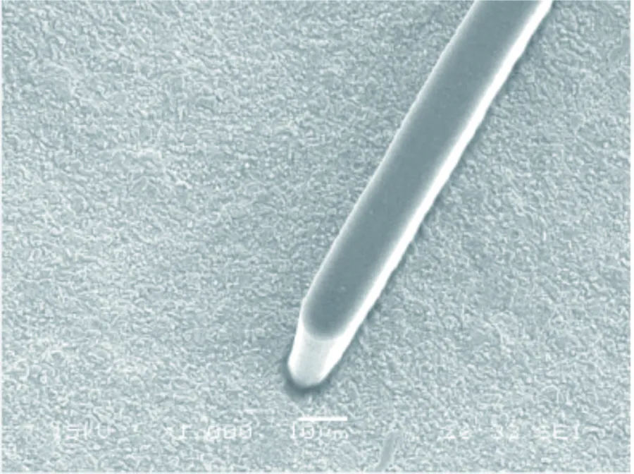 铜面用超粗化液3510微蚀0.5μm后干膜附着力可达10μm（干膜RD1225，Hitachi）。