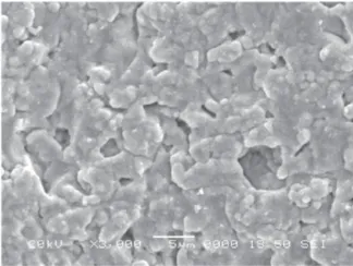 化学铜层 SEM 照片（放大 3000 倍，标尺 5 μm），结晶致密